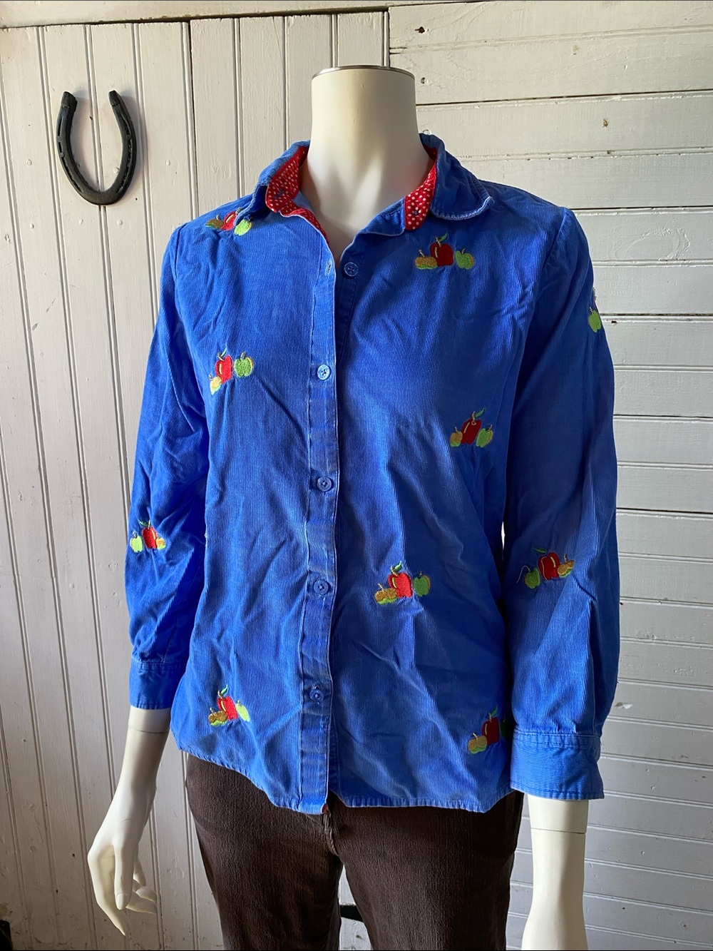 Blue Embroidered Apple Button-Down Shirt